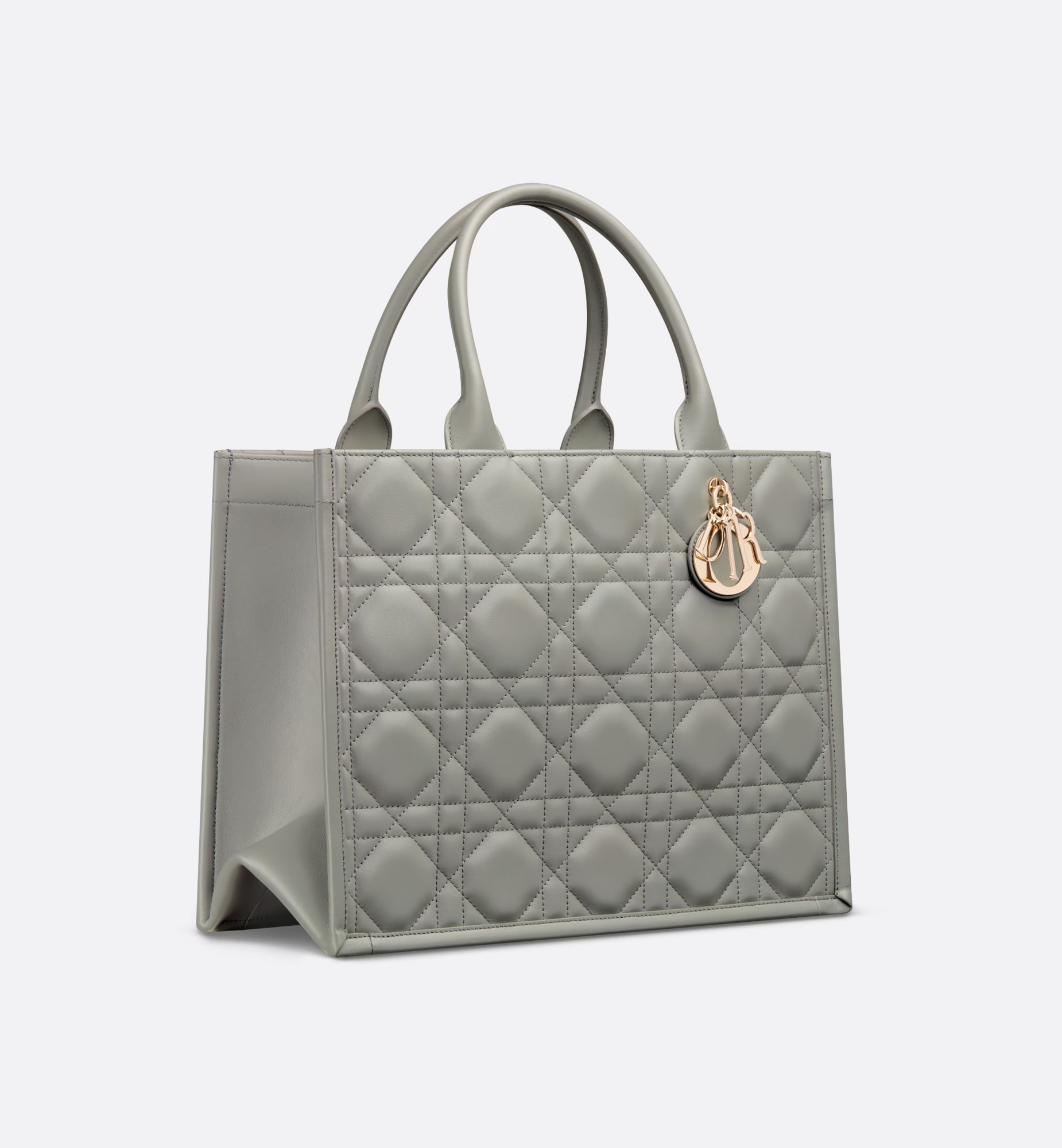 Medium Dior Book Tote